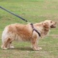 Arnés de pernése Set reversible para caminar por el perro